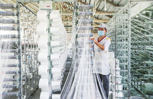 小帆布織出大產業 紡織品的創新與轉型