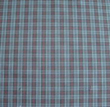 淄博蛋白纖維紡織品科技開發 玉米纖維與精梳棉梭織方格襯衫面料的創新應用